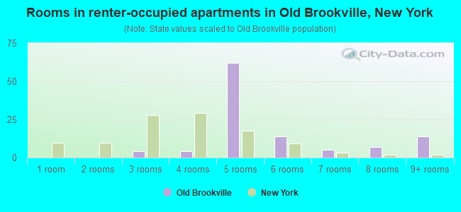 Rooms in renter-occupied apartments in Old Brookville, New York