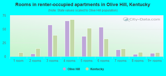 Rooms in renter-occupied apartments in Olive Hill, Kentucky