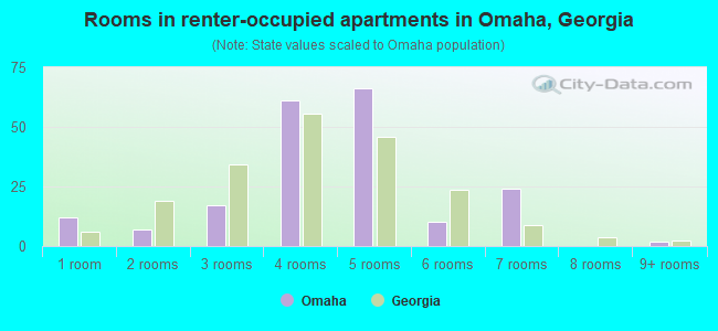 Rooms in renter-occupied apartments in Omaha, Georgia