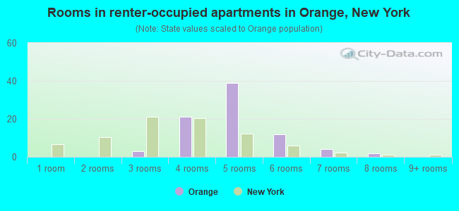 Rooms in renter-occupied apartments in Orange, New York
