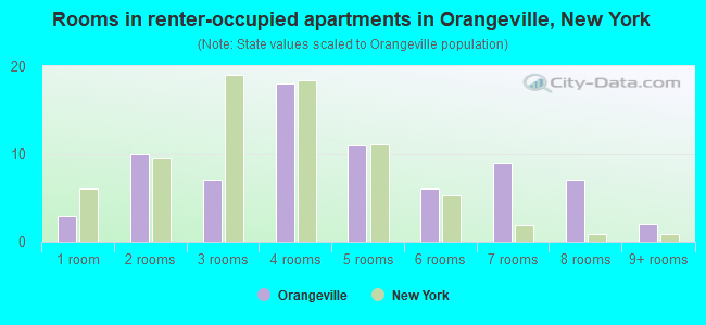 Rooms in renter-occupied apartments in Orangeville, New York
