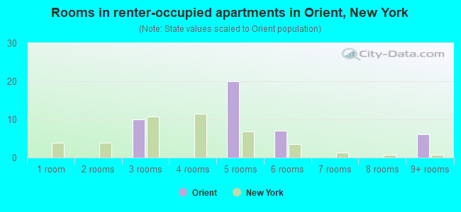Rooms in renter-occupied apartments in Orient, New York