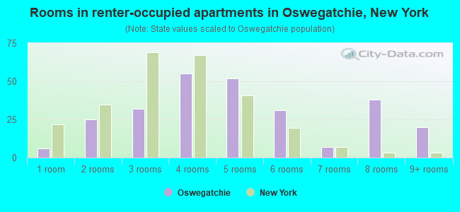 Rooms in renter-occupied apartments in Oswegatchie, New York