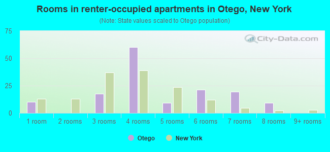 Rooms in renter-occupied apartments in Otego, New York