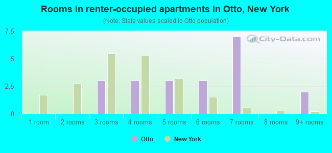 Rooms in renter-occupied apartments in Otto, New York