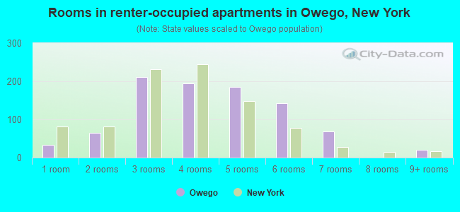 Rooms in renter-occupied apartments in Owego, New York