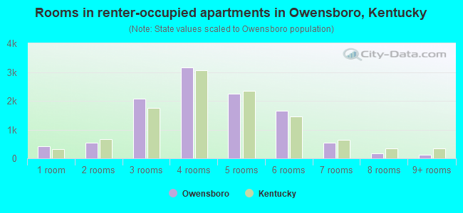 Rooms in renter-occupied apartments in Owensboro, Kentucky