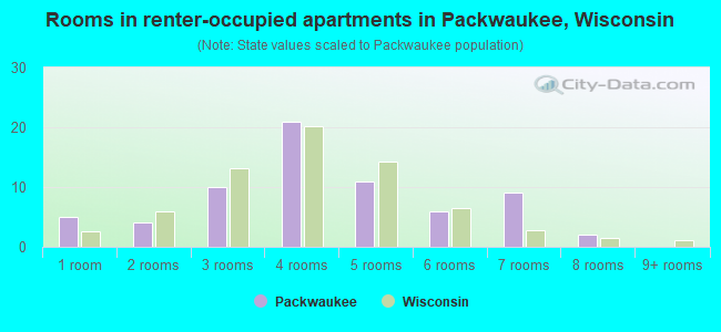 Rooms in renter-occupied apartments in Packwaukee, Wisconsin