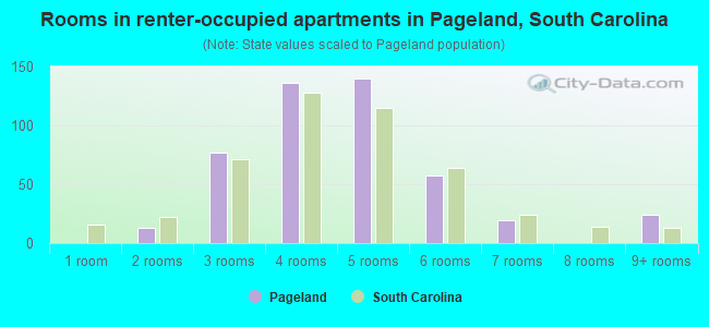 Rooms in renter-occupied apartments in Pageland, South Carolina