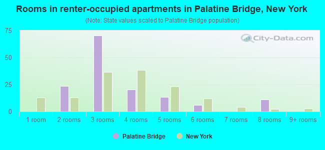 Rooms in renter-occupied apartments in Palatine Bridge, New York