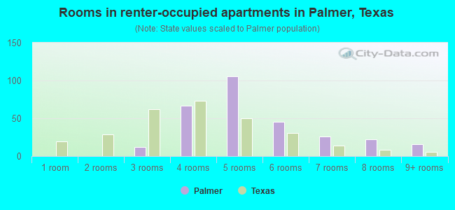Rooms in renter-occupied apartments in Palmer, Texas