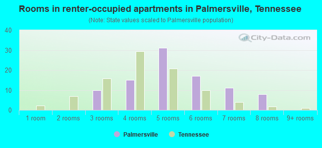 Rooms in renter-occupied apartments in Palmersville, Tennessee