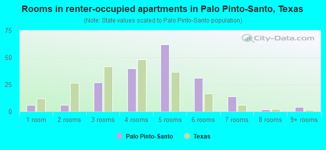Rooms in renter-occupied apartments in Palo Pinto-Santo, Texas