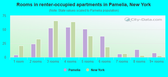 Rooms in renter-occupied apartments in Pamelia, New York