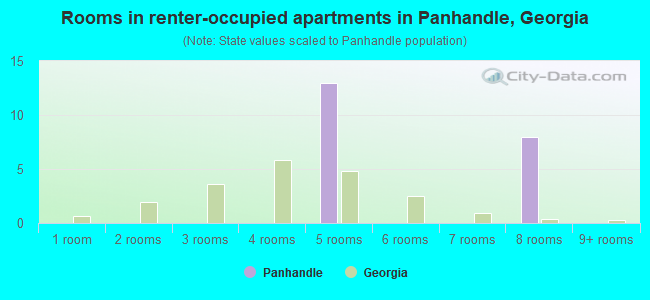Rooms in renter-occupied apartments in Panhandle, Georgia