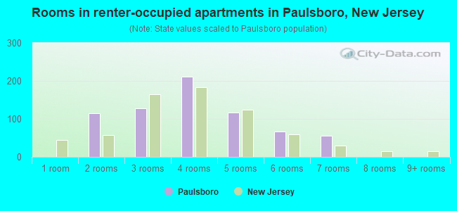Rooms in renter-occupied apartments in Paulsboro, New Jersey