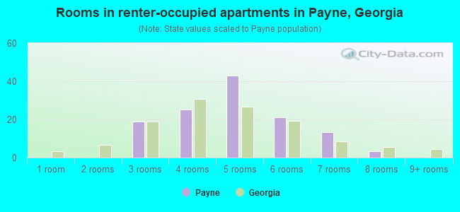 Rooms in renter-occupied apartments in Payne, Georgia