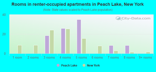 Rooms in renter-occupied apartments in Peach Lake, New York