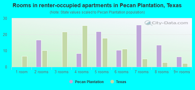 Rooms in renter-occupied apartments in Pecan Plantation, Texas