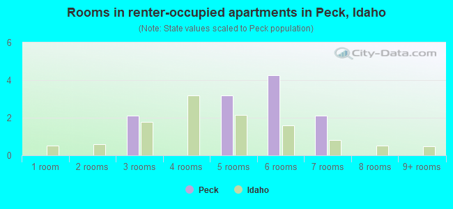 Rooms in renter-occupied apartments in Peck, Idaho