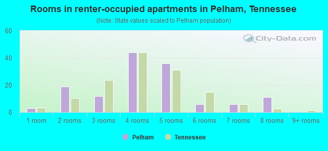 Rooms in renter-occupied apartments in Pelham, Tennessee