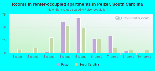 Rooms in renter-occupied apartments in Pelzer, South Carolina