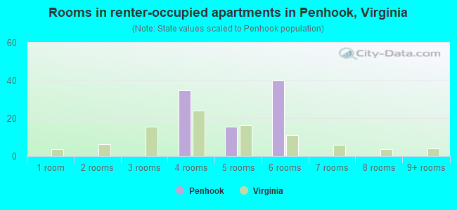 Rooms in renter-occupied apartments in Penhook, Virginia