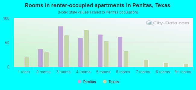 Rooms in renter-occupied apartments in Penitas, Texas