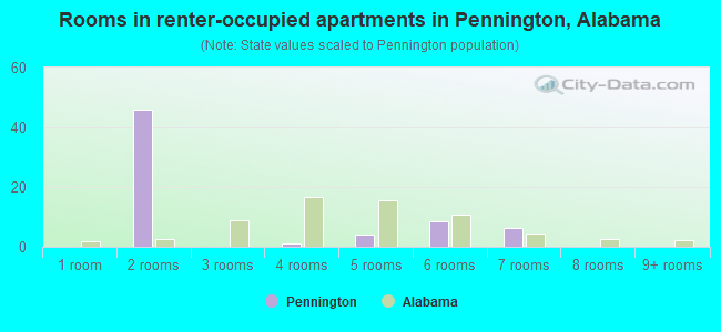 Rooms in renter-occupied apartments in Pennington, Alabama