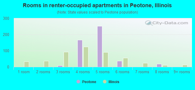 Rooms in renter-occupied apartments in Peotone, Illinois