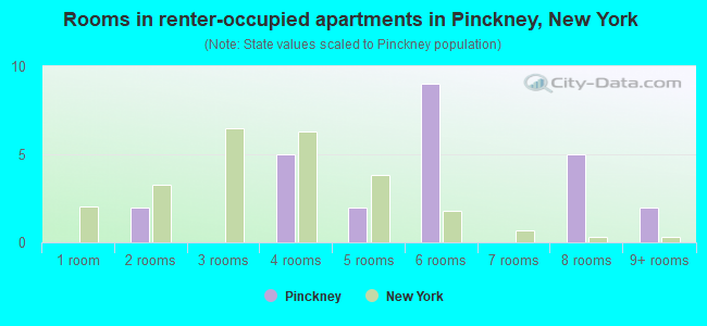 Rooms in renter-occupied apartments in Pinckney, New York