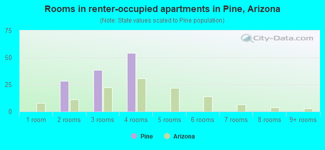 Rooms in renter-occupied apartments in Pine, Arizona