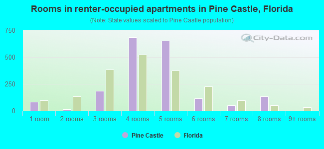 Rooms in renter-occupied apartments in Pine Castle, Florida