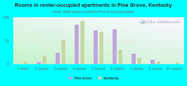 Rooms in renter-occupied apartments in Pine Grove, Kentucky