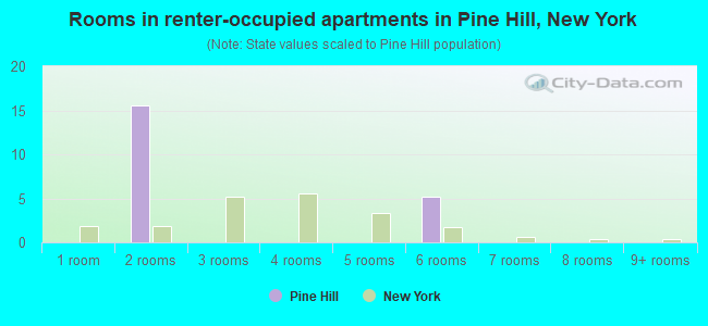 Rooms in renter-occupied apartments in Pine Hill, New York
