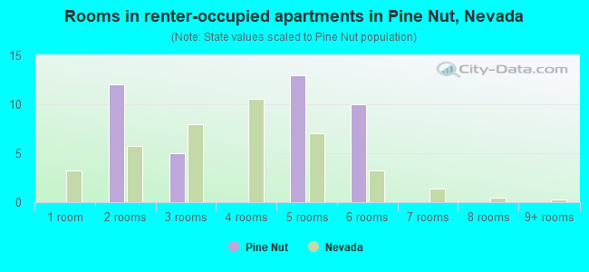 Rooms in renter-occupied apartments in Pine Nut, Nevada