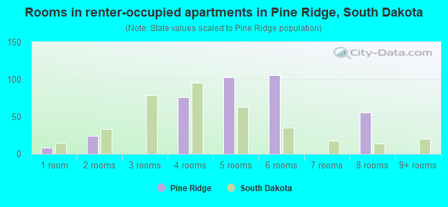 Rooms in renter-occupied apartments in Pine Ridge, South Dakota