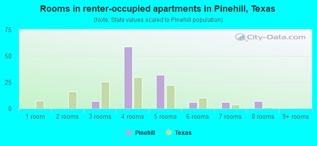 Rooms in renter-occupied apartments in Pinehill, Texas