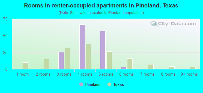 Rooms in renter-occupied apartments in Pineland, Texas