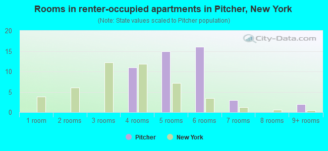 Rooms in renter-occupied apartments in Pitcher, New York