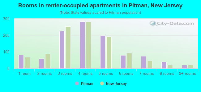 Rooms in renter-occupied apartments in Pitman, New Jersey