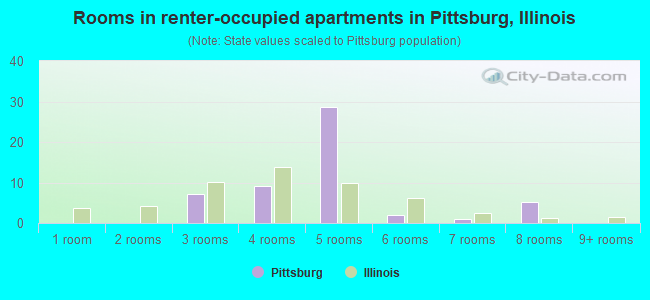 Rooms in renter-occupied apartments in Pittsburg, Illinois
