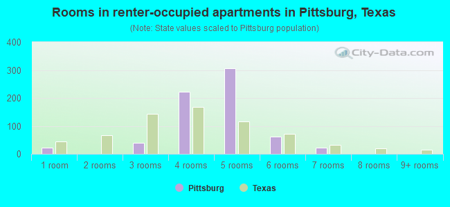 Rooms in renter-occupied apartments in Pittsburg, Texas