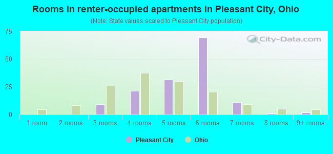 Rooms in renter-occupied apartments in Pleasant City, Ohio