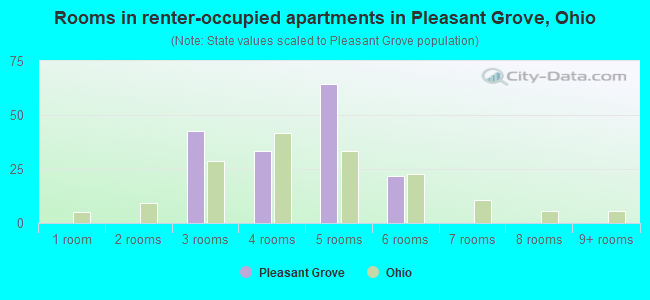 Rooms in renter-occupied apartments in Pleasant Grove, Ohio