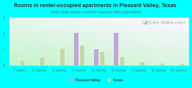 Rooms in renter-occupied apartments in Pleasant Valley, Texas