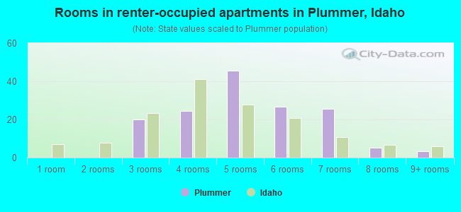 Rooms in renter-occupied apartments in Plummer, Idaho