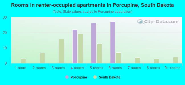 Rooms in renter-occupied apartments in Porcupine, South Dakota