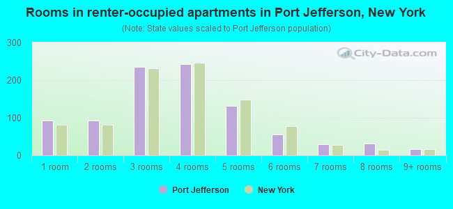Rooms in renter-occupied apartments in Port Jefferson, New York