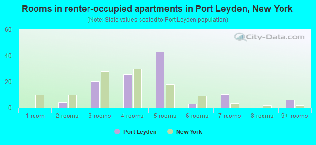 Rooms in renter-occupied apartments in Port Leyden, New York